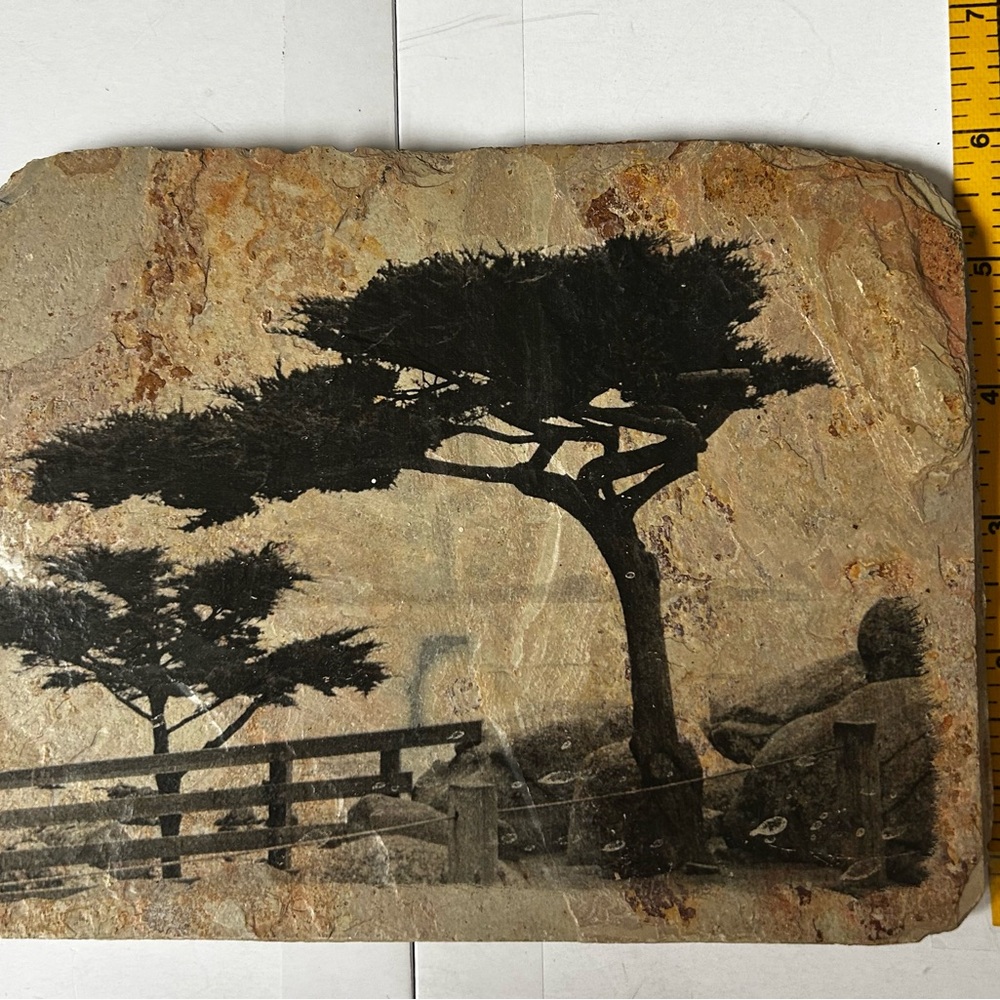 Rustic Stone Art with Tree Silhouette